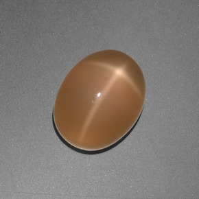 3.05克拉天然橙色星光月光石，椭圆形切割，9.1×7.2毫米，半透明
