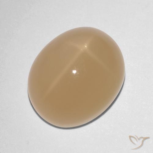 7.88ct 天然 哈密瓜橙 星月石, 椭圆形, 半透明