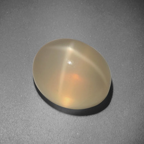 5.51克拉天然奶油色星光月光石，椭圆形切割，11.2×9.1毫米，半透明