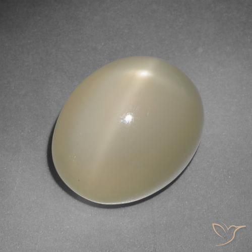 12.22克拉天然黄色星光月光石，椭圆形切割，14.5×11.7毫米，半透明