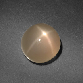 4.98克拉天然奶油色星光月光石，圆形切割，9.22毫米，半透明