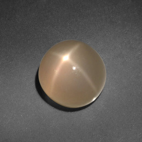 4.98克拉天然奶油色星光月光石，圆形切割，9.22毫米，半透明