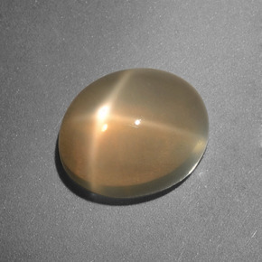 3.49克拉天然奶油色星光月光石，椭圆形切割，10×8.2毫米，半透明