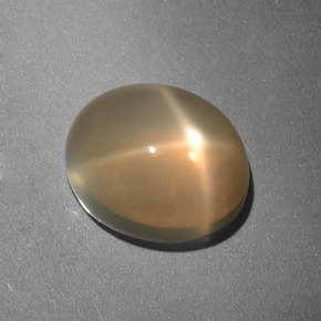 3.49克拉天然奶油色星光月光石，椭圆形切割，10×8.2毫米，半透明
