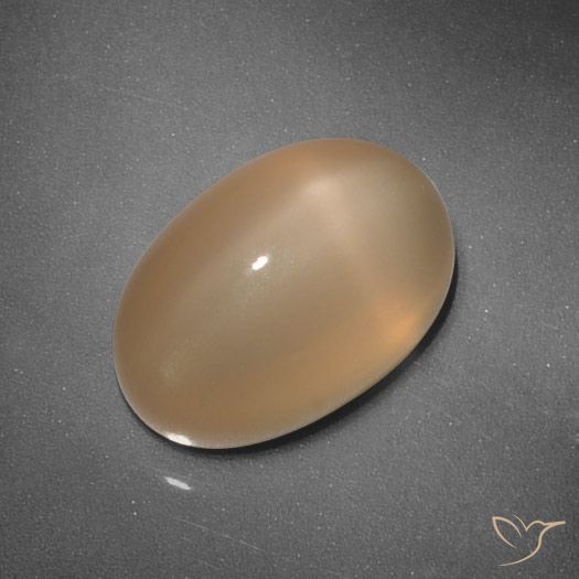 5.37ct 天然 中橙 星月石, 椭圆形, 半透明