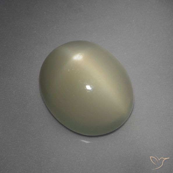 5.67ct 天然 中黄灰色 星月石, 椭圆形, 半透明