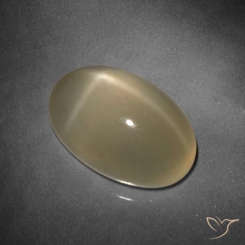 9.25ct 天然 浅玉米饼棕色 星月石, 椭圆形, 半透明
