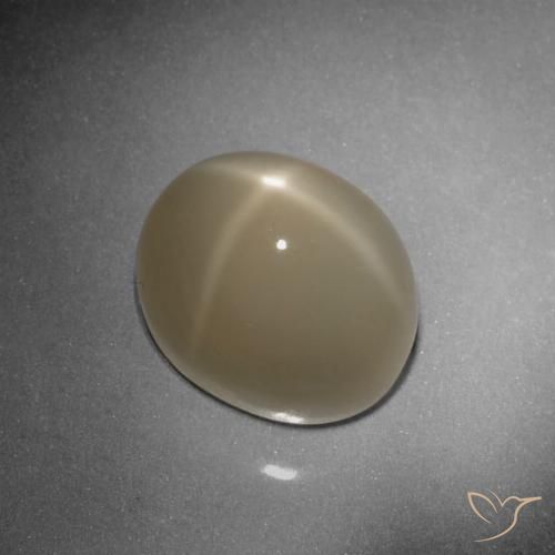 9.79ct 天然 浅玉米饼棕色 星月石, 椭圆形, 半透明