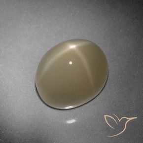 9.79克拉天然星月石，椭圆形，半透明