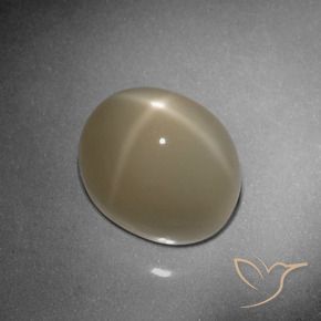 9.79克拉天然星月石，椭圆形，半透明