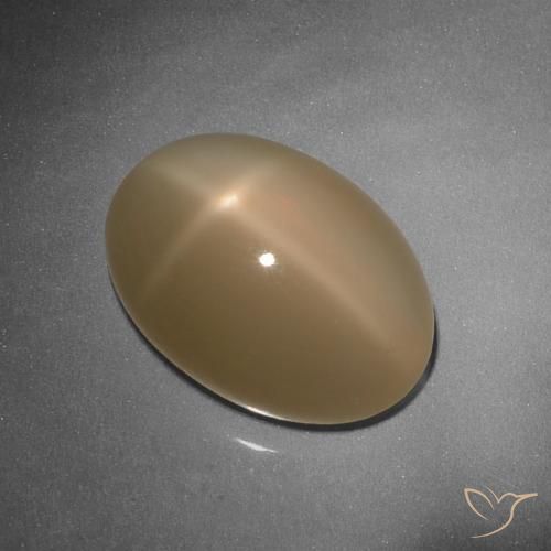 9.26ct 天然 哈密瓜橙 星月石, 椭圆形, 半透明