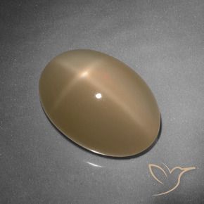 9.26克拉天然星月石，椭圆形，半透明