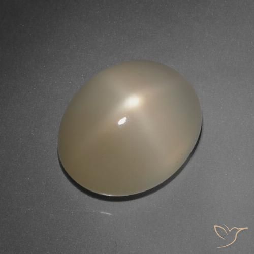 7.89ct 天然 淡棕色 星月石, 椭圆形, 半透明