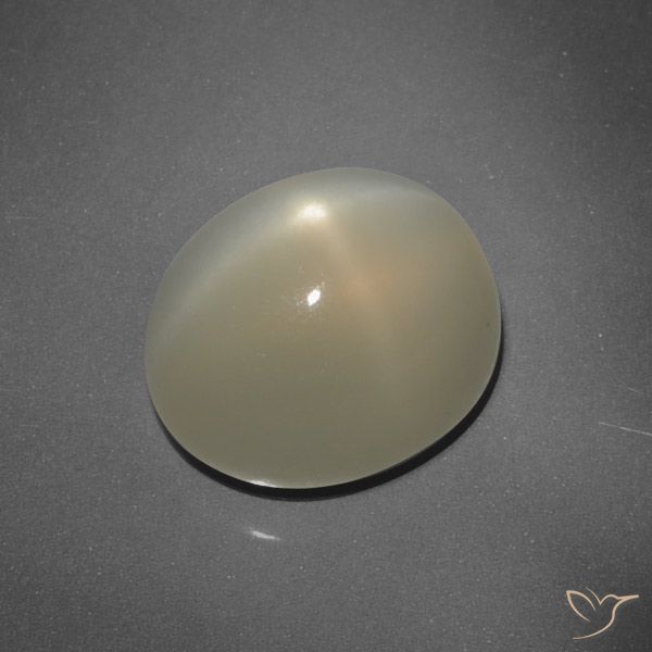 7.24ct 天然 土褐色 星月石, 椭圆形, 半透明