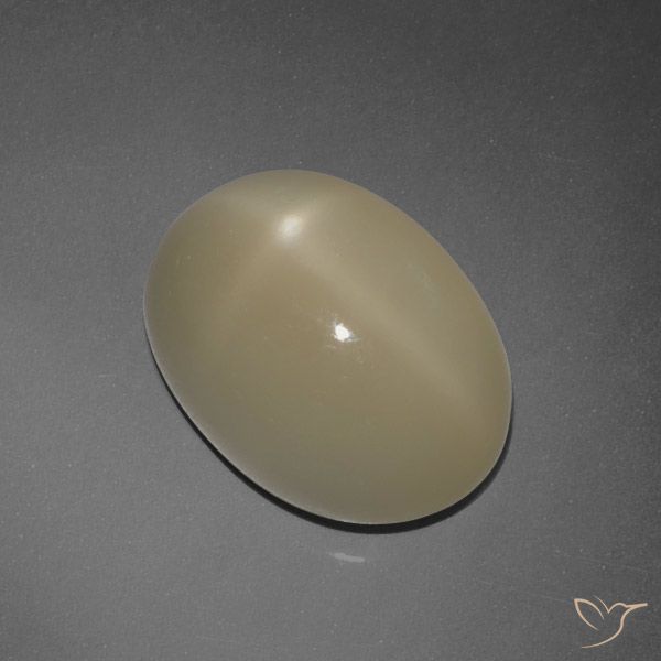 7.30ct 天然 浅棕色 星月石, 椭圆形, 半透明