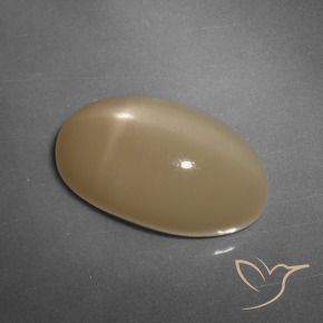 11.04克拉天然星月石，椭圆形，半透明