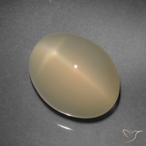 11.92ct 天然 淡棕色 星月石, 椭圆形, 半透明