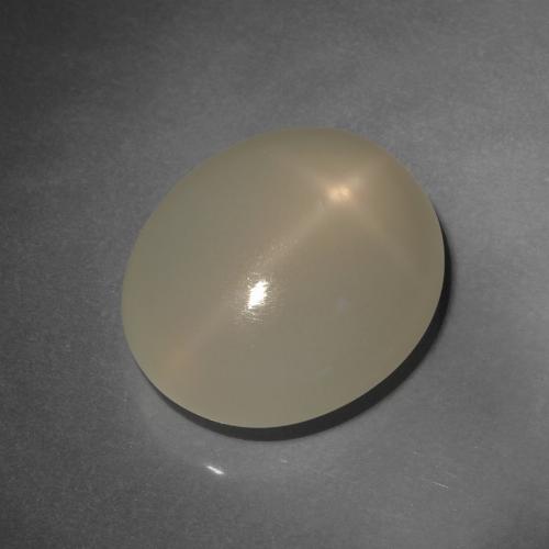 12.80克拉天然棕色星光月光石，椭圆形切割，16.3×13.9毫米，半透明
