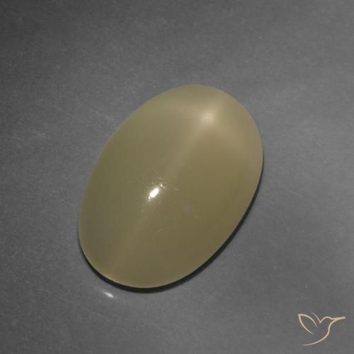 4.86ct 天然 浅玉米饼棕色 星月石, 椭圆形, 半透明