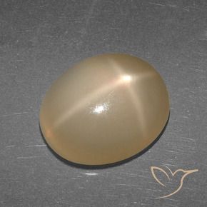 5.27克拉天然星月石，椭圆形，半透明