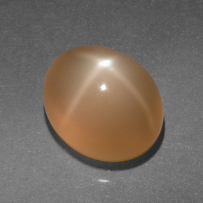 4.95克拉天然橙色星光月光石，椭圆形切割，11.1×9.2毫米，半透明