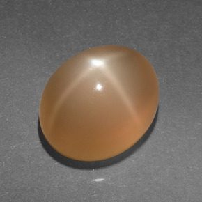 4.95克拉天然橙色星光月光石，椭圆形切割，11.1×9.2毫米，半透明