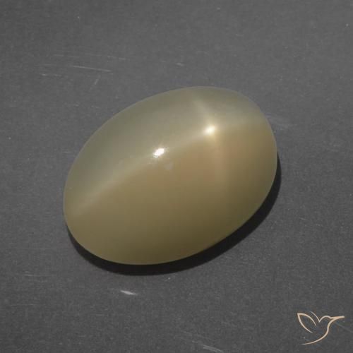 7.14ct 天然 浅棕色 星月石, 椭圆形, 半透明