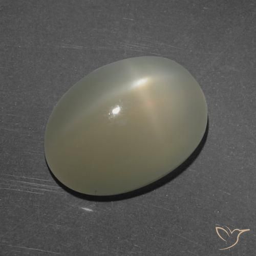 7.16ct 天然 中浅棕色 星月石, 椭圆形, 半透明