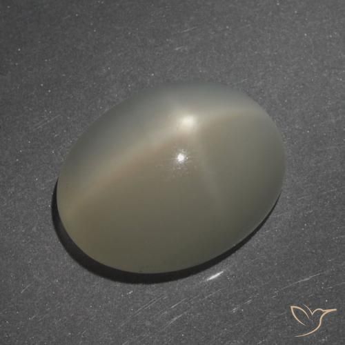 7.62ct 天然 浅咖啡棕 星月石, 椭圆形, 半透明