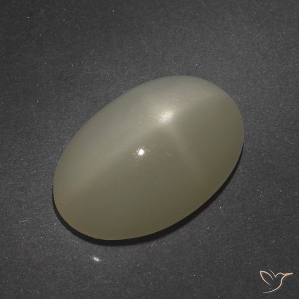 7.66ct 天然 浅咖啡棕 星月石, 椭圆形, 半透明