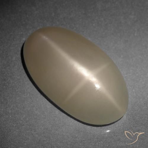 9.34ct 天然 中深橙色 星月石, 椭圆形, 半透明