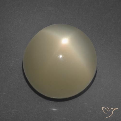 11.34ct 天然 浅咖啡棕 星月石, 圆形的, 半透明