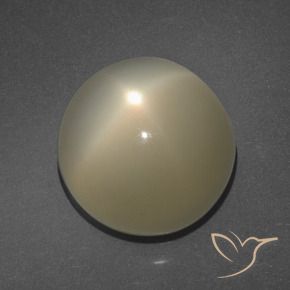 11.34克拉天然星月石，圆形的，半透明