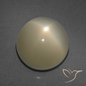 11.34克拉天然星月石，圆形的，半透明