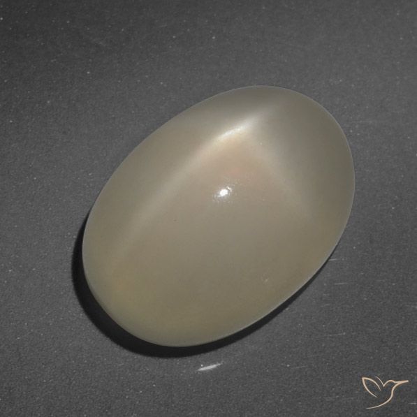 7.90ct 天然 浅咖啡棕 星月石, 椭圆形, 半透明