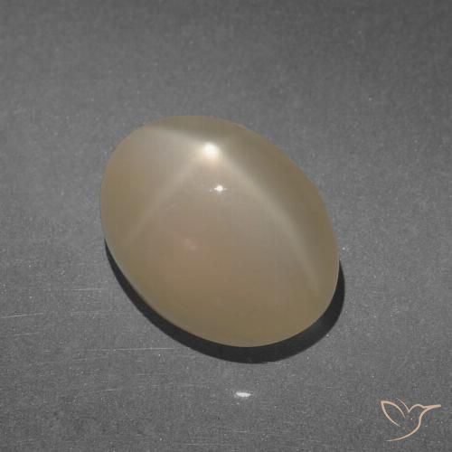 8.47ct 天然 暖浅棕 星月石, 椭圆形, 半透明