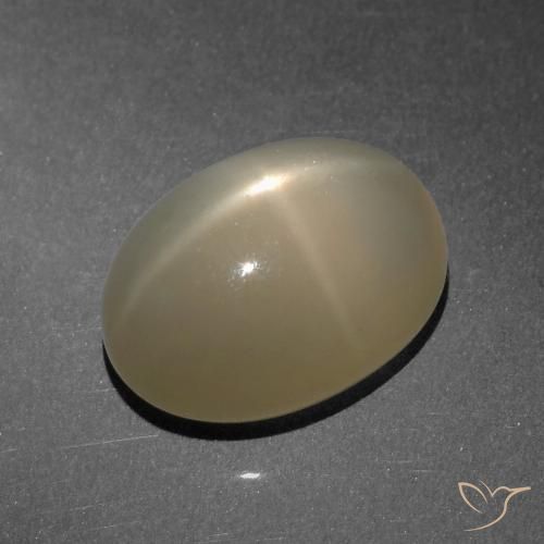 8.25ct 天然 浅棕色 星月石, 椭圆形, 半透明