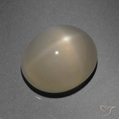 6.13ct 天然 浅棕色 星月石, 椭圆形, 半透明