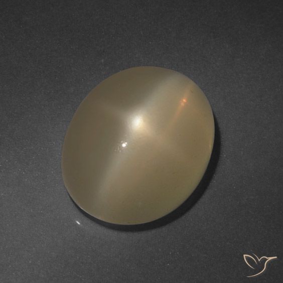 6.37ct 天然 浅棕色 星月石, 椭圆形, 半透明