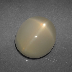 5.59克拉天然棕色星光月光石，椭圆形切割，13.2×10.9毫米，半透明