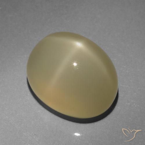 6.64ct 天然 非常浅的棕色 星月石, 椭圆形, 半透明