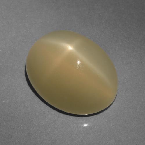 6.64克拉天然棕色星光月光石，椭圆形切割，12.6×9.7毫米，半透明