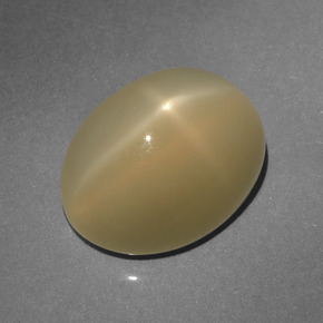 6.64克拉天然棕色星光月光石，椭圆形切割，12.6×9.7毫米，半透明