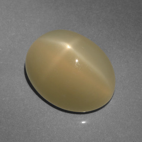 6.64克拉天然棕色星光月光石，椭圆形切割，12.6×9.7毫米，半透明