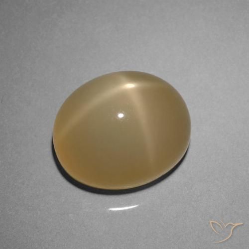 8.51ct 天然 黄棕色 星月石, 椭圆形, 半透明