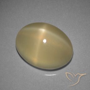 7.29克拉天然星月石，椭圆形切割，半透明