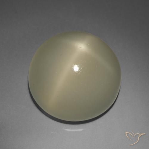 9.02ct 天然 土褐色 星月石, 圆形的, 半透明