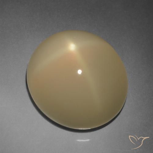 11.20ct 天然 浅玉米饼棕色 星月石, 椭圆形, 半透明