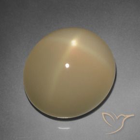 11.20克拉天然星月石，椭圆形，半透明