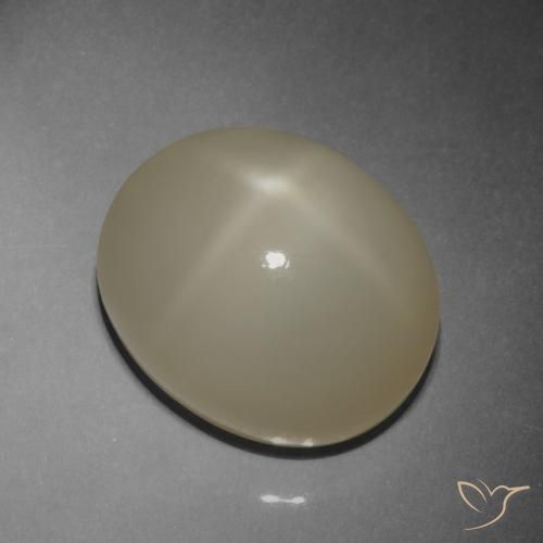 9.42ct 天然 浅咖啡棕 星月石, 椭圆形, 半透明